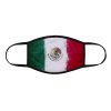 Mexico Flag Face Mask